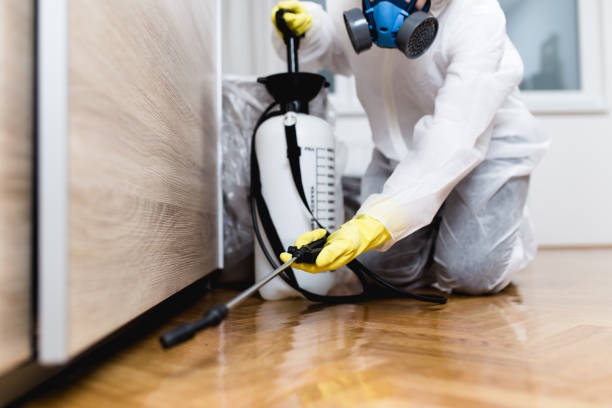 Best Mosquito Control Services  in Taylorsville, KY