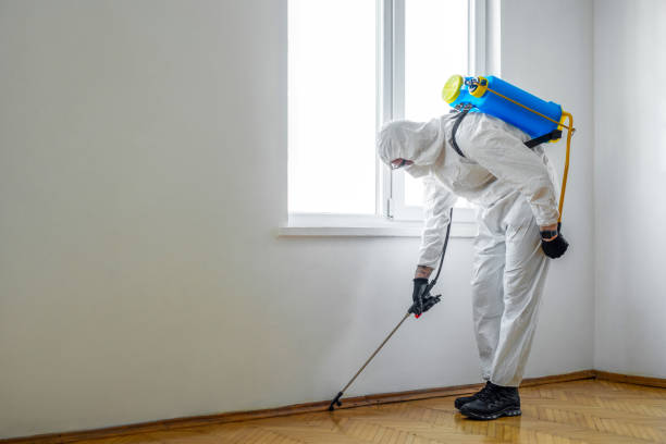 Best Local Pest Control Services  in Taylorsville, KY