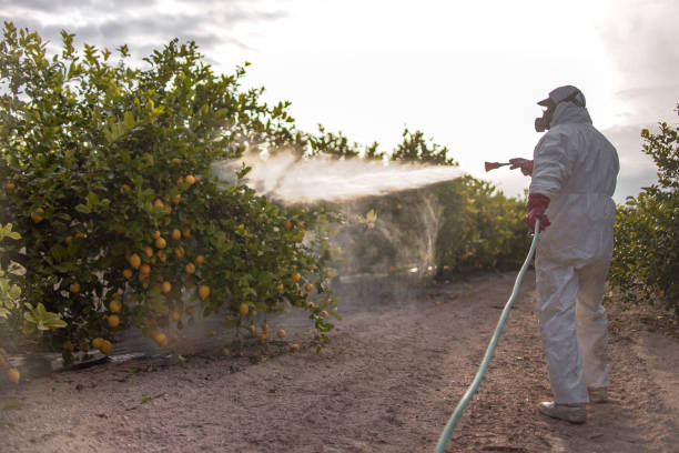 Best Affordable Pest Control Services  in Taylorsville, KY