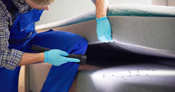 Best Pest Inspection Near Me  in Taylorsville, KY