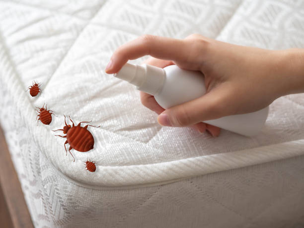 Best Residential Pest Control  in Taylorsville, KY