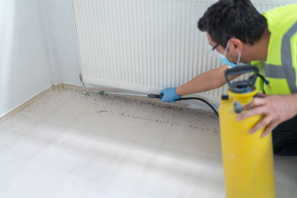 Reliable Taylorsville, KY Pest Control Solutions