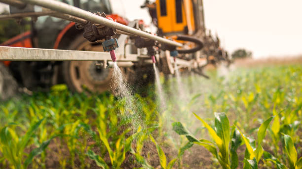 Best Insect Control  in Taylorsville, KY