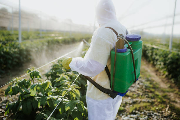 Pest Control Cost in Taylorsville, KY